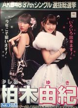 组图：2014年AKB48选拔总选举海报曝光提前看