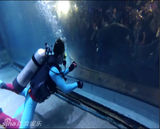 组图：贾乃亮为博女儿一笑 表演潜水险晕倒