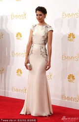 组图：阿曼达-克鲁优雅长裙亮相艾美红毯