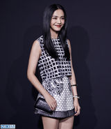 组图：姚晨优雅亮相活动 红唇耀眼美腿修长