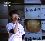 幻灯：青海卫视赈灾晚会 李宇春谭维维等登台献歌