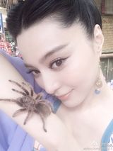 组图：范冰冰与蜘蛛零距离接触 表情搞怪多变