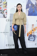 组图：王菲亮相品牌秀帅气十足 那英端庄典雅