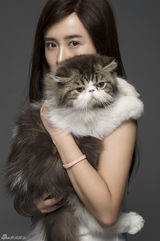 组图：夏梓桐与猫咪拍写真 假发少女与方便面