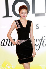 组图：众明星参加时尚派对 刘嘉玲否认与张柏芝不合