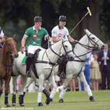 组图：威廉王子参加马球比赛 凯特带小王子助威