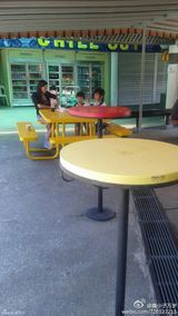 策划：张柏芝母子亲密无间 浓情厚爱展露无遗