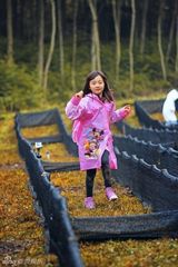 组图：爸爸开启丛林大冒险 金曲歌王曹格落泪