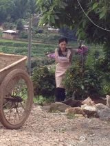 组图：女神变村姑！张柏芝黄圣依干农活打篮球