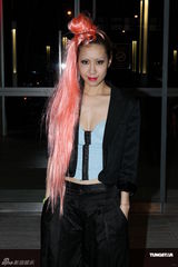 组图：Gaga个唱粉丝经典造型助阵  陈浩民夫妇捧场