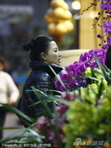 幻灯图：殷桃携友逛花卉市场 货比三家添置礼品