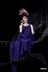 组图：暌违六年王菲小巨蛋开金嗓 演艺圈群星朝圣