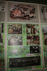 聚焦美丽山东-聊城参观李苦禅纪念馆