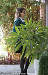 组图：阿尔芭秋装亮相 绿丛掩映清新靓丽