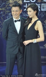 组图：《富春山居图》刘德华林志玲郎才女貌