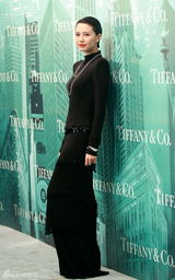 组图：群星助阵发布会 巩俐戴过亿珠宝显女王气质