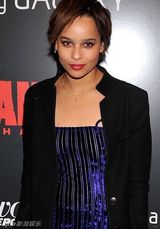 组图：昆汀“姜戈”纽约首映 红毯上明星扎堆