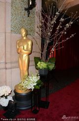 组图：第85届奥斯卡红毯-小金人星光熠熠