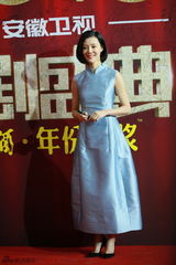 组图：众星云集国剧盛典 金宇彬朴信惠首度来华