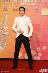 群星亮相金曲奖红毯 蔡依林美腿梁静茹性感(图)