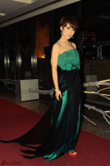 组图：谢楠华服亮相各大盛典 传神演绎多样风情