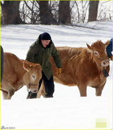 组图：暮光男帕丁森冰天雪地拍戏 牵牛狂奔