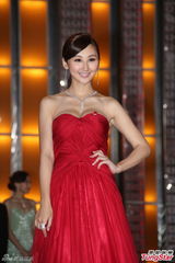 组图：TVB2014巡礼全员出动 女星竞艳旧爱相逢