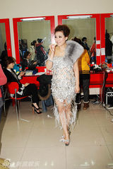 组图：李静入主安徽卫视元旦晚会 礼服雍容华贵