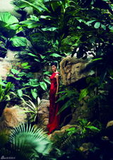 高清组图：于娜最新婚纱写真 似出水芙蓉尊贵华美