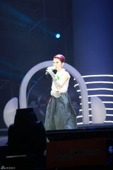 组图：TOP榜歌手祈福雅安 李宇春获全能艺人