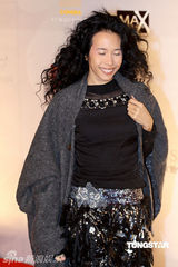 幻灯图集：王菲再现招牌烟熏妆 刘嘉玲黄色唐装雷人