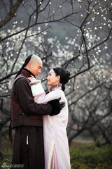 组图：《宫锁连城》热播 杨蓉高云翔剑舞梅林