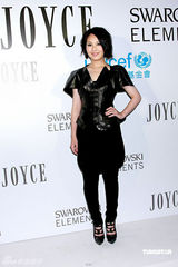 幻灯图：张曼玉成慈善晚宴焦点 杨千嬅不慰问郑中基