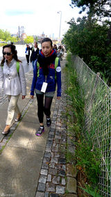 组图：董洁远赴丹麦做慈善 行走6公里募集善款