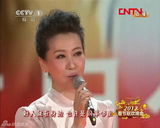 组图：谭晶亮相演唱《好人就在身边》