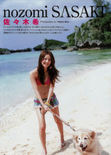 高清组图：佐佐木希276张美图 夏日比基尼养眼