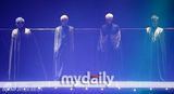 组图：韩国偶像组合神话15周年演唱会
