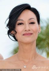 高清组图：电影《武侠》发布会 汤唯扮“黑天鹅”