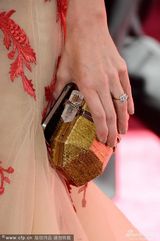 组图：露易丝-罗绣花纱裙美艳亮相奥斯卡红毯