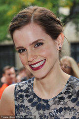 组图：《壁花少年》多伦多首映 妮娜与艾玛争艳