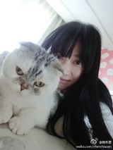 组图：陈乔恩搂猫咪晒床照 摆姿势卖萌撩人