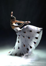 组图：杨丽萍《云南映象》升级版首演 十年沉淀