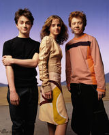 策划：魔法金童变大叔 哈利波特“毁灭”之路