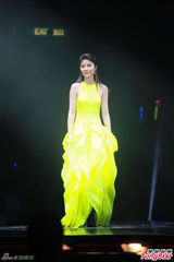 组图：谢霆锋陈慧琳等红馆开唱 悼念张耀荣