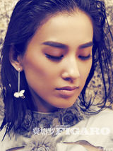 组图：黄圣依费加罗写真 气质高贵风情万种