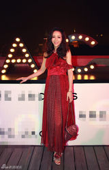 组图：张静初陈燃引领时尚热潮  复古长裙争奇斗艳