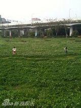 幻灯图：小S微博秀天伦之乐 带女儿看动物现场直播