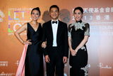 群星闪耀嫣然基金晚宴 王菲旗袍装与李亚鹏恩爱
