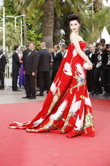 高清组图：范冰冰亮相戛纳红毯 仙鹤裙装秀中国风