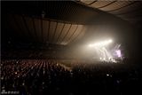 组图：韩团CNBLUE结束日本巡演 明年二月发新曲